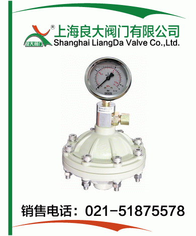 PP、PVDF脈沖阻尼器